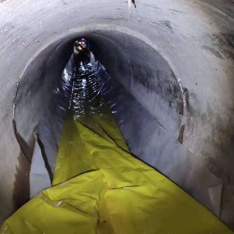 望奎管道光固化修复