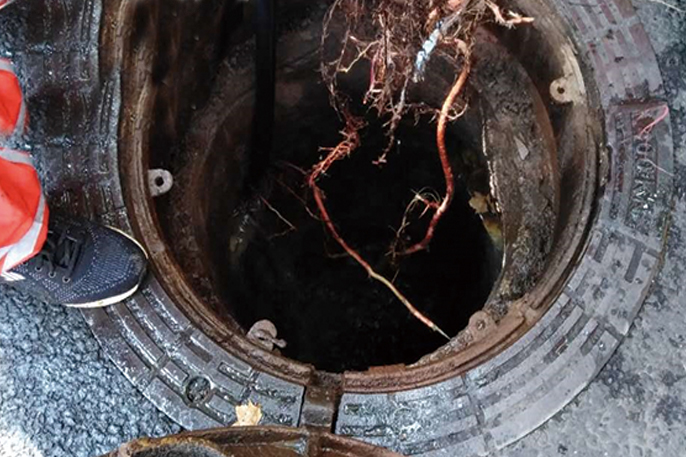 望奎管道预处理